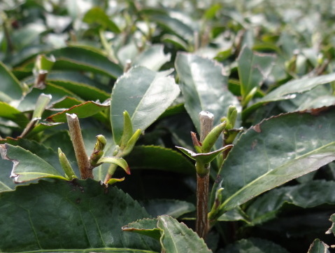 �ڂ����́A�ʐ^���N���b�N���Ă��������B